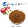 apple polyphenol
